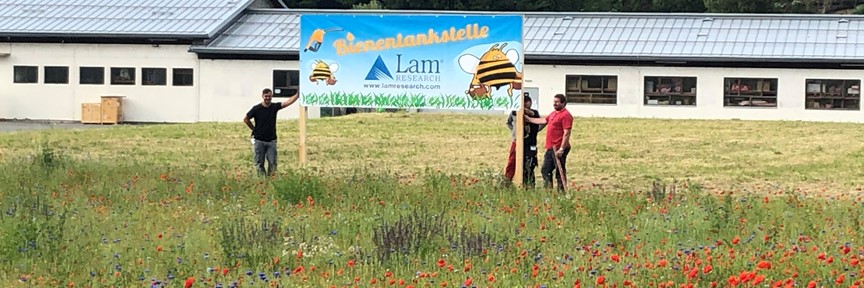 bee farm sign with lam logo