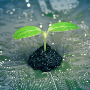 A seedling sprouting from a circuit board