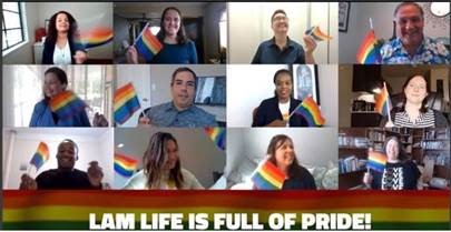 photo of people on a web call waiving rainbow flags