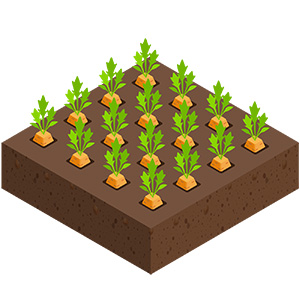 graphic of carrots in the ground in a square
