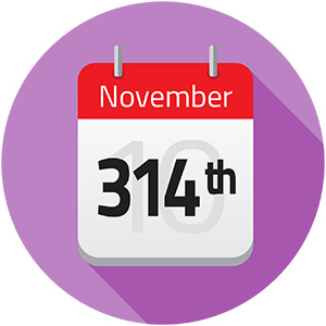 calendar day showing nov 314th