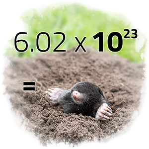 mole coming out of ground